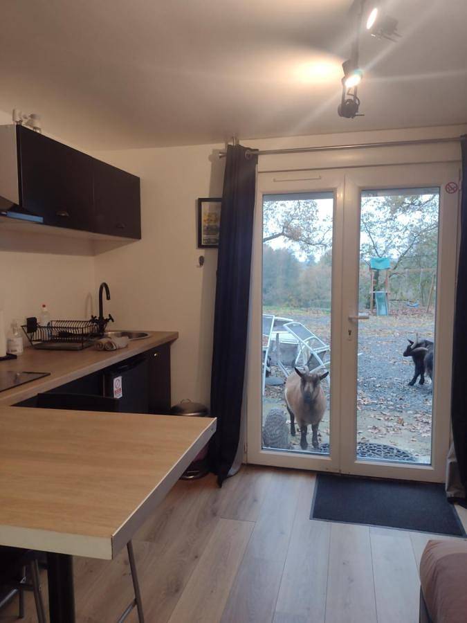 Gîte pour 2 personnes, avec piscine ainsi que jardin et vue à Saint-Jean-de-la-Motte - 2
