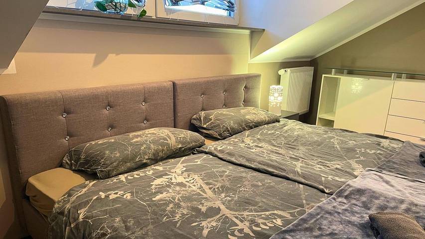 Ferienwohnung für 3 Personen, mit Haustier in Trier (Stadt) - 3