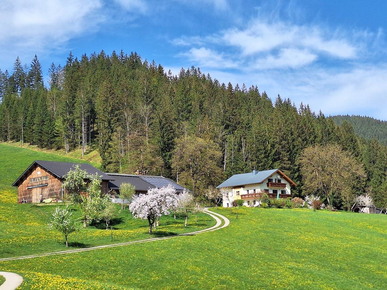 Biobauernhof Poidlbauer - Familienzimmer "Hochkarblick" mit Balkon und Küchenzeile in Göstling an der Ybbs, Mostviertel Region