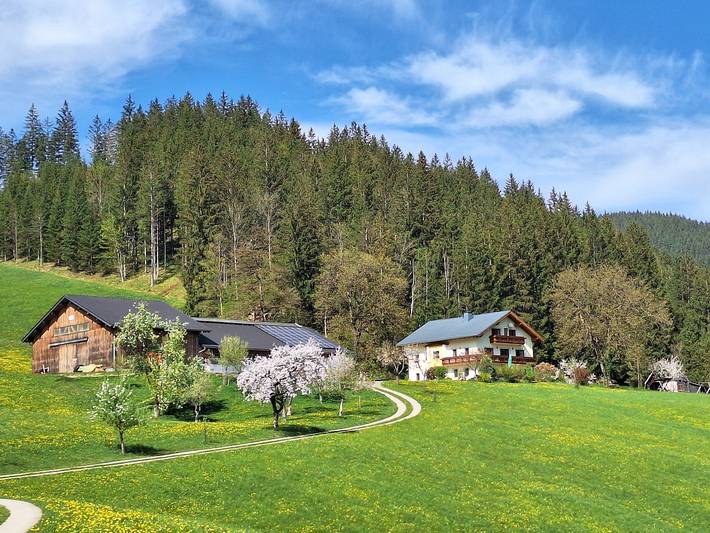 Ferienhaus für 5 Personen, mit Garten in Mostviertel-Eisenwurzen - 2