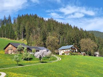 Bauernhof für 4 Personen in Göstling an der Ybbs, Ybbs, Bild 1