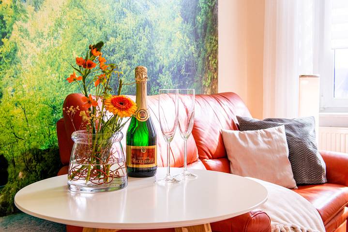 Entire holiday apartment, Ferienwohnung farbmomente - klein und fein in Briesnitz, Dresden