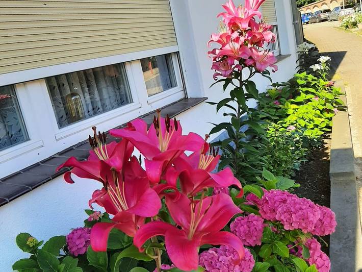 Ferienwohnung für 2 Personen, mit Garten und Terrasse in Priepert - 4