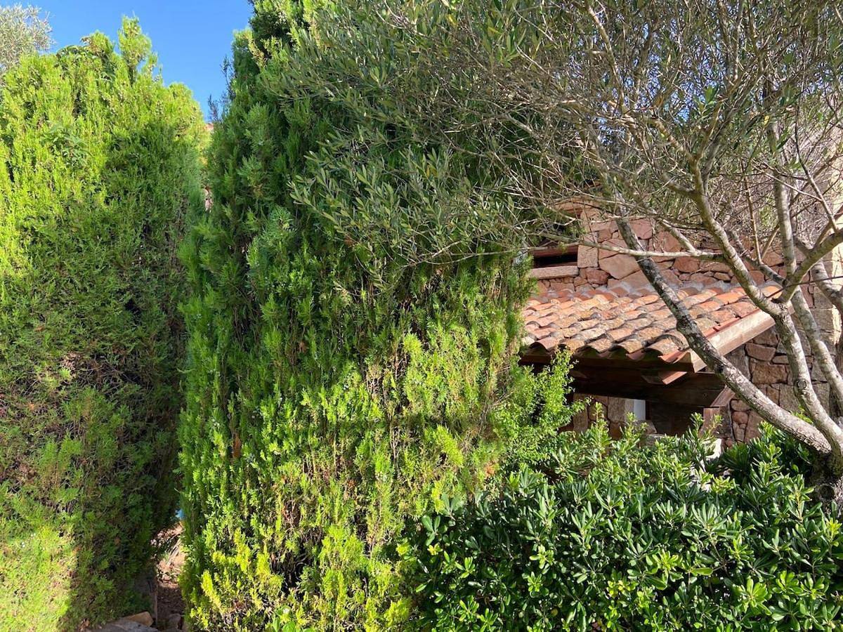 Appartement entier, One-Bedroom Apartment in Puntaldia, San Teodoro