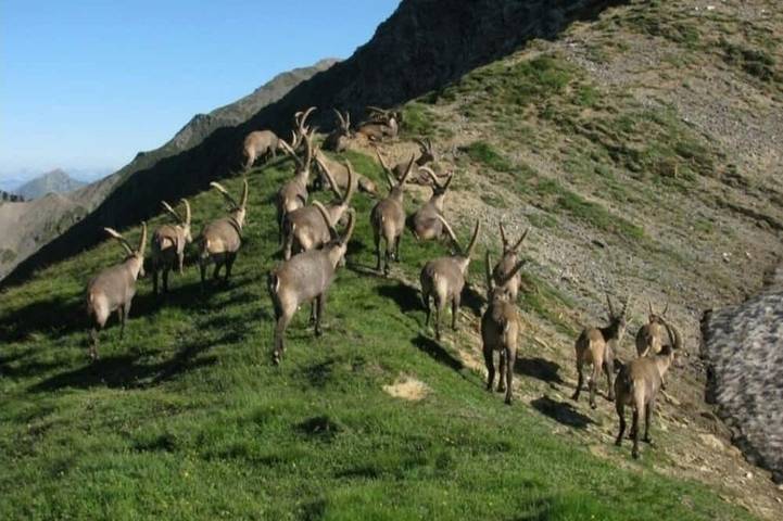 Location de vacances pour 6 personnes, avec balcon à Vernante - 3