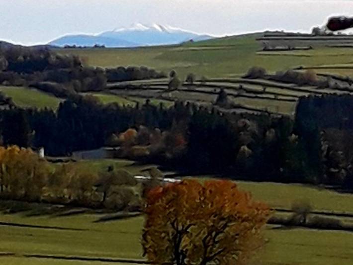 Ferienhaus für 4 Personen, mit Garten und Terrasse in Waldviertel - 2