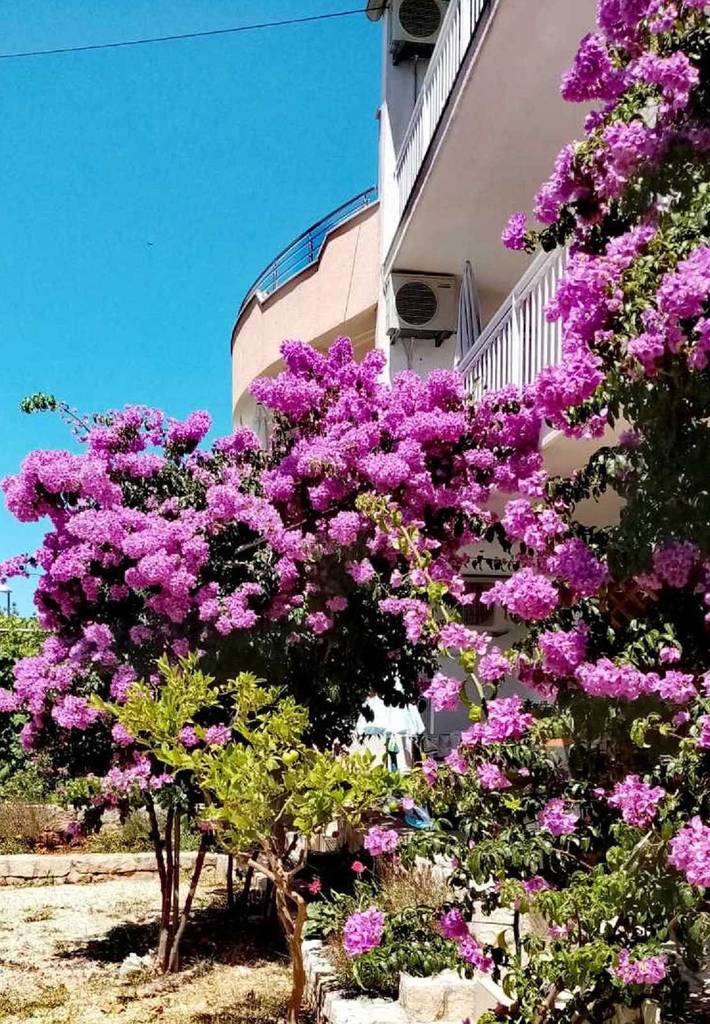 Ganze Wohnung, Neu Strand Studio-Apartment Srima 2 in Srima, Šibenik-Knin