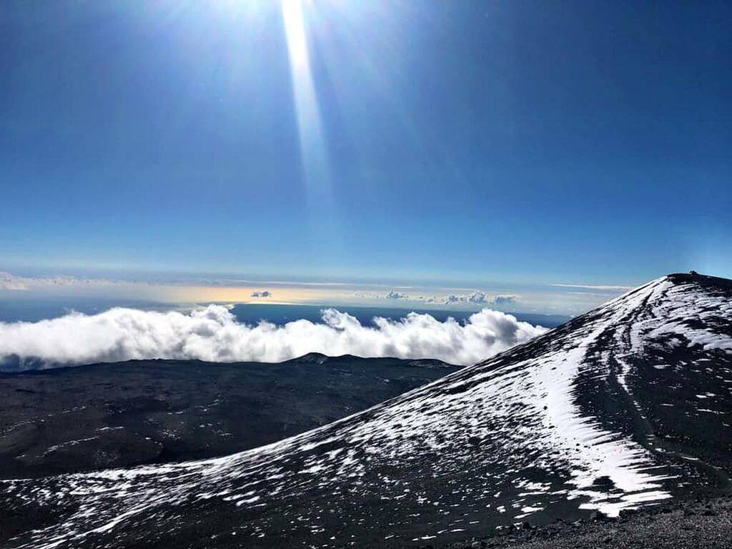 Jungalow mit Frühstück in Eden Roc, West Puna
