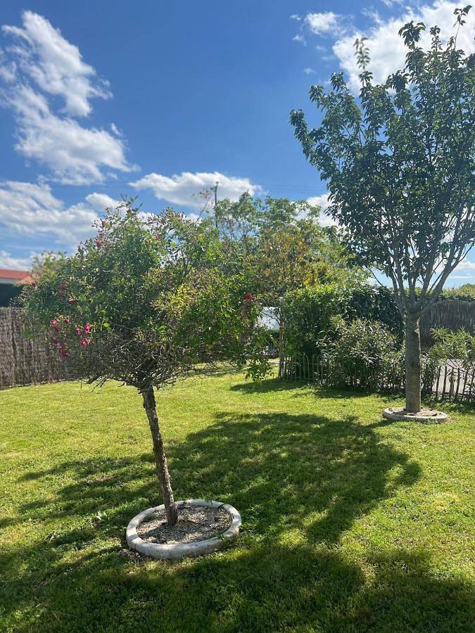 Location de vacances pour 8 personnes, avec Jacuzzi et Terrasse ainsi que Jardin et Piscine à Aubiat - 4