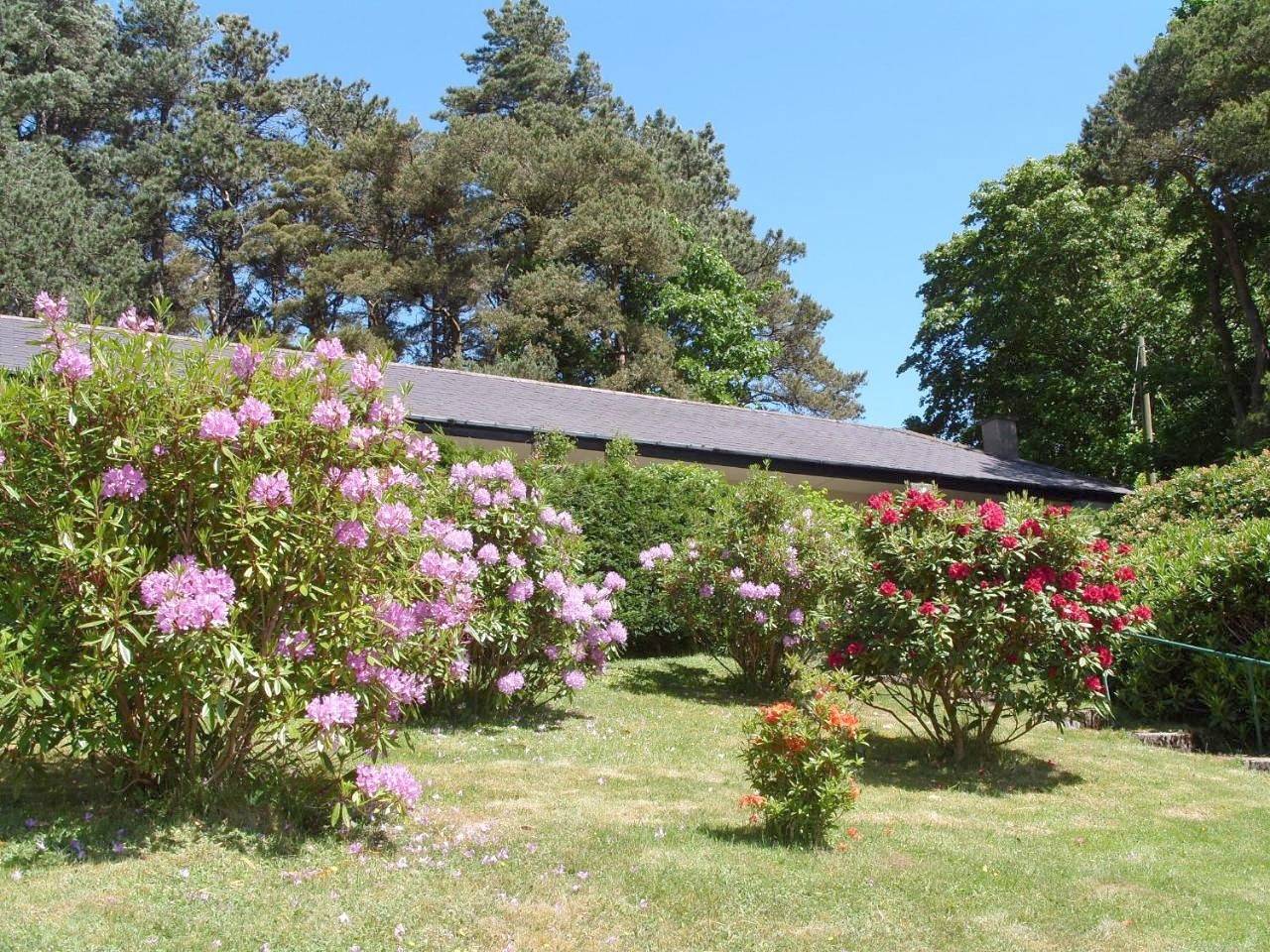 Suite with Sea View in Llanfairfechan, Snowdonia