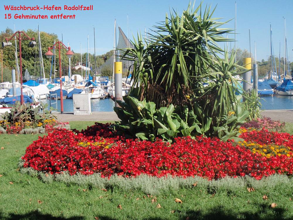 Ganze Ferienwohnung, Ferienwohnungen Familie Bill - 1-Zimmer-Fewo, Dg, 40 m² in Radolfzell, Radolfzell am Bodensee