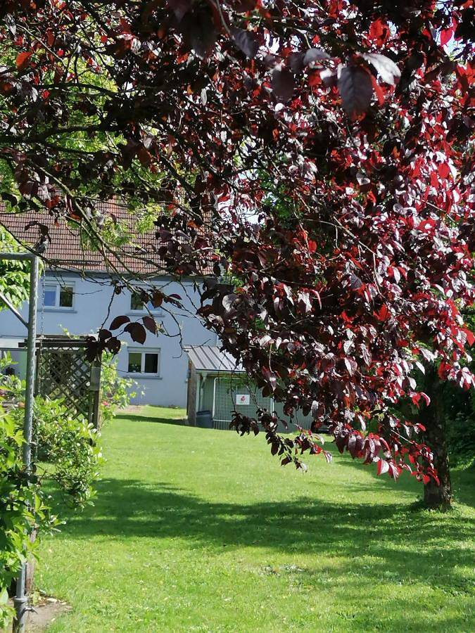 Appartement de vacances pour 4 personnes, avec Jardin et Vue dans Primstal