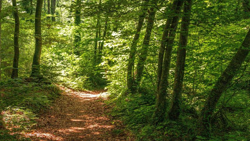 Chalet para 4 personas, con jardín en Cataluña - 3
