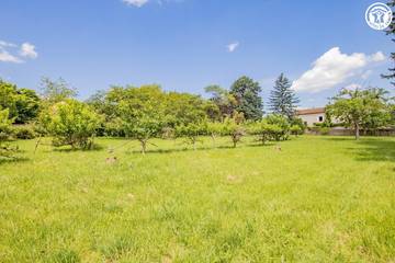 Gîte pour 12 Personnes dans Azé (Saône-et-Loir), Région de Mâcon, Photo 4