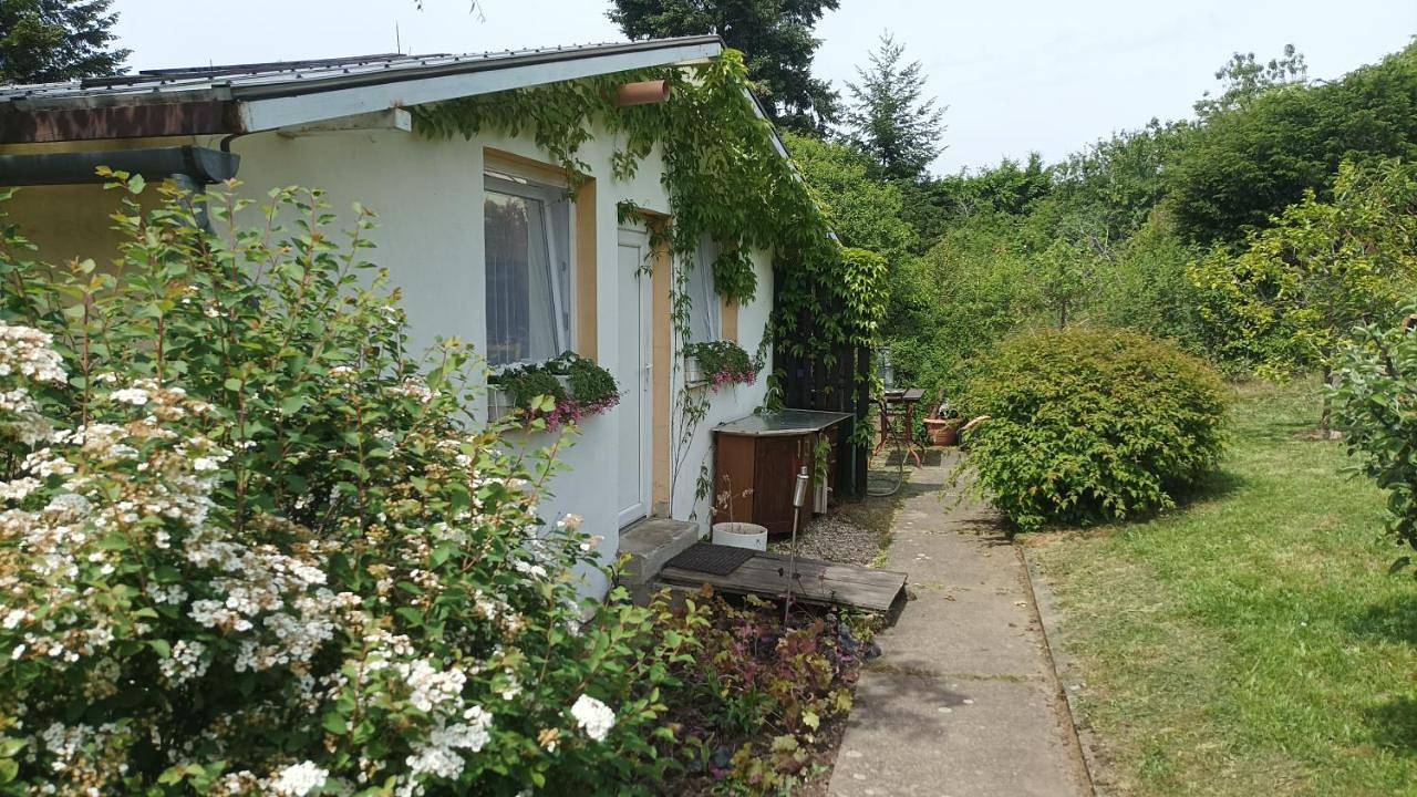 Garden Greenhouse Studio in Bratislava, Bratislava und Umgebung