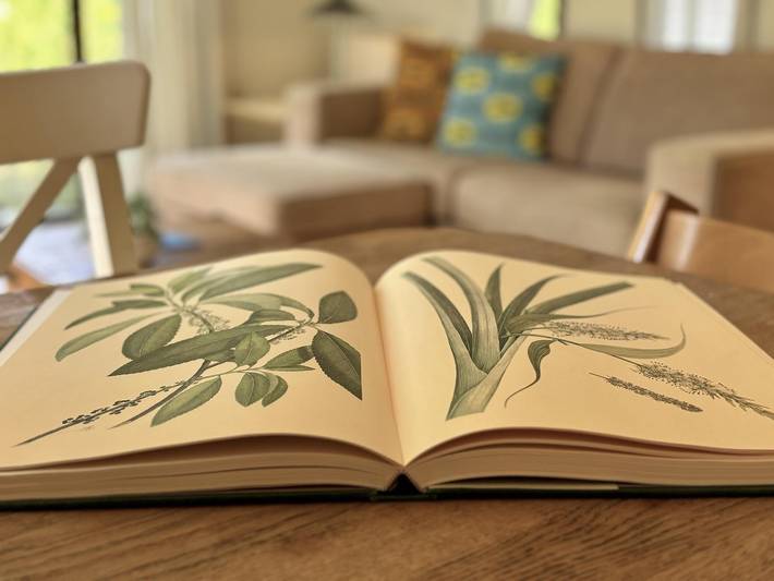 Ferienhaus für 3 Personen, mit Terrasse und Balkon/Terrasse in Harderwijk - 4