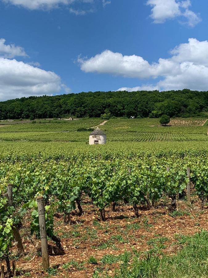 Location de vacances pour 8 personnes, avec Terrasse et Vue dans Office De Tourisme De Savigny Sur Orge - 3