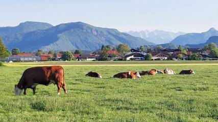 Bauernhof für 4 Personen in Grassau, Bayerische Alpen, Bild 1