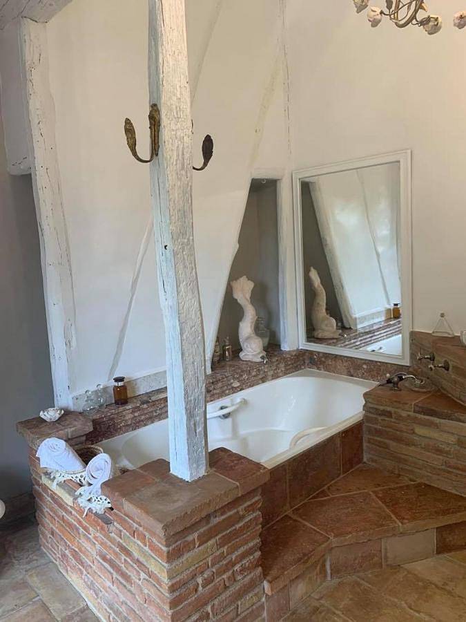 Location de vacances pour 12 personnes, avec terrasse ainsi que vue et piscine, animaux acceptés à Auterive - 2