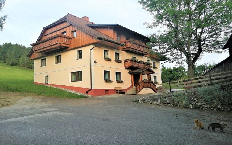 Ganze Ferienwohnung, Gästehaus Appartement Dachstein ohne Verpflegung in Pürgg-Trautenfels, Dachstein