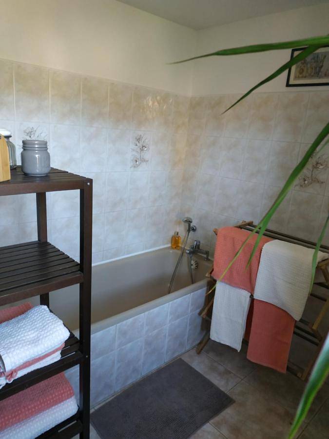 Location de vacances pour 2 personnes, avec jardin ainsi que vue et terrasse à Saint-Léon-sur-Vézère - 3