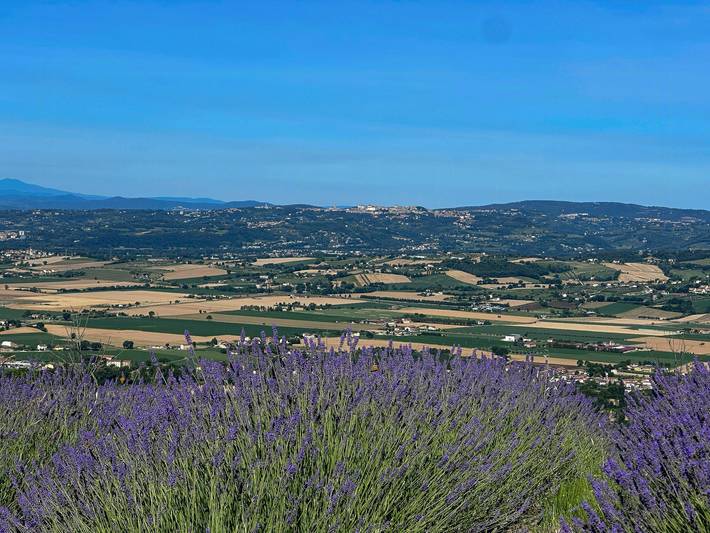 Villa con piscina e vista vicino a Assisi in Assisi, Perugia e dintorni