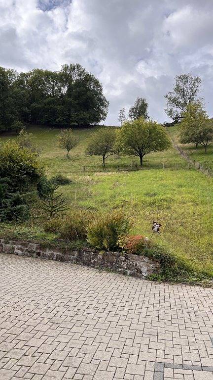 Chambre d’hôte pour 4 personnes, avec jardin dans le Haut-Rhin - 2