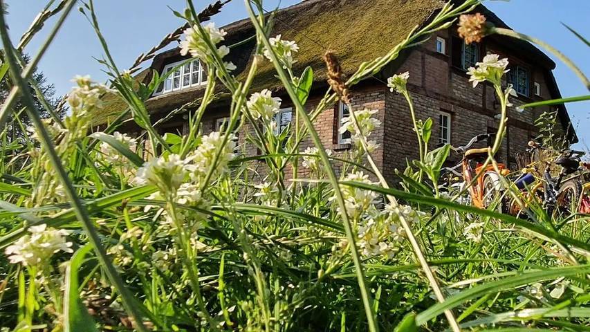 Ferienhaus für 4 Personen, mit Garten in Zirkow
