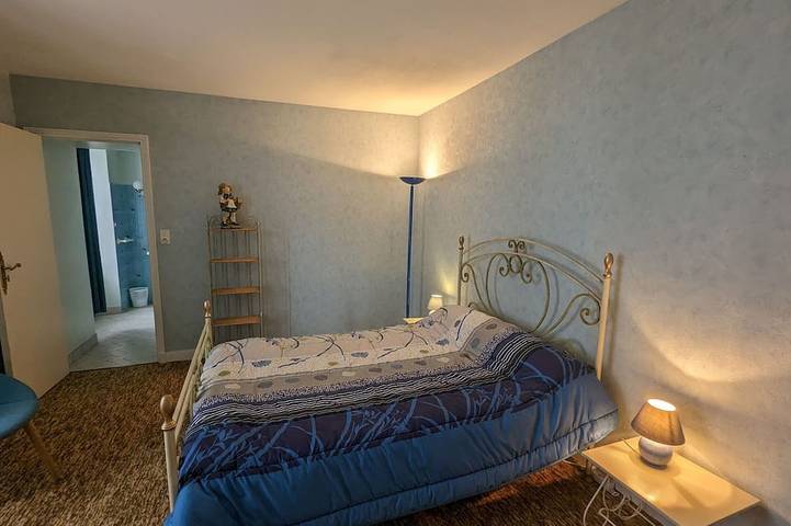 Gîte pour 5 personnes, avec jardin, animaux acceptés à Mézières-en-Brenne - 4