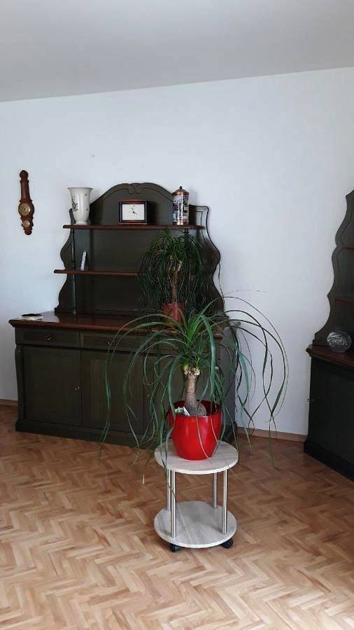 Ferienwohnung für 2 Personen, mit Terrasse und Garten sowie Ausblick in Angermünde - 3