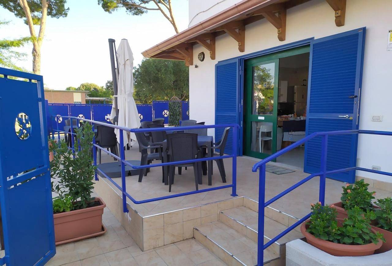 Coccinella in Sabaudia, Agro Pontino