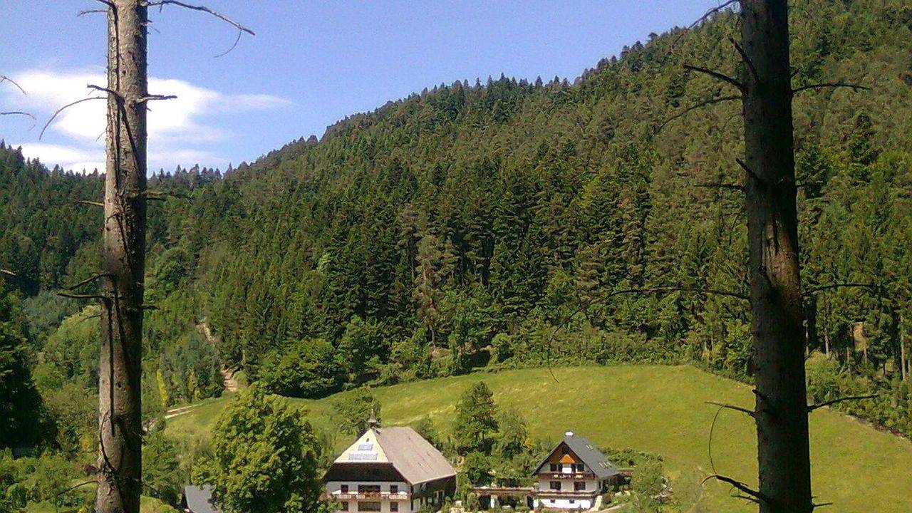 Doppelzimmer für 2 Personen in Hornberg in Hornberg, Mittlerer Schwarzwald