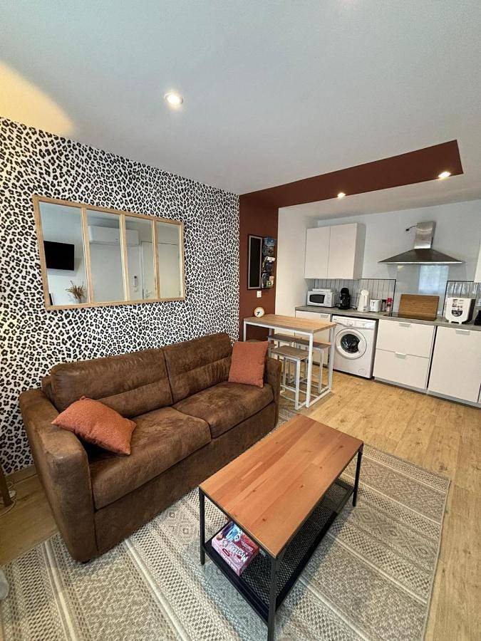 Chambre d’hôte pour 4 personnes, avec terrasse à Amboise - 3