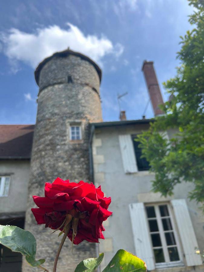 Location de vacances pour 2 personnes, avec Terrasse ainsi que Jardin et Vue à Chantenay-Saint-Imbert - 2