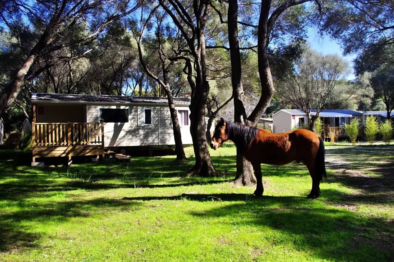 Premium air-conditioned mobile home 3 rooms 4/6 persons in Galéria, Parc naturel régional de Corse