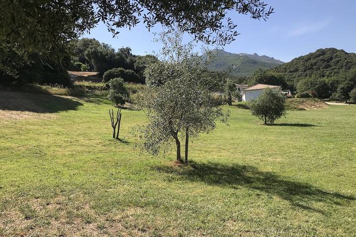 Ganze Wohnung, Voll ausgestattetes Studio im Herzen des Weinbergs in Patrimonio, Calvi und Umgebung