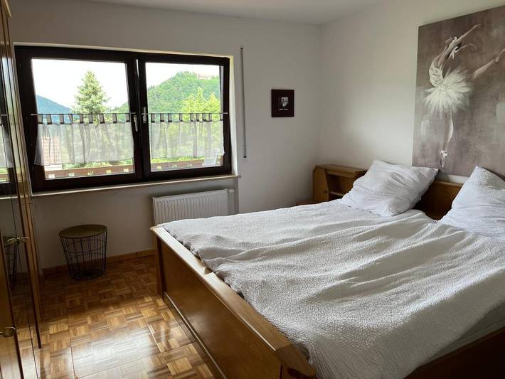 Ferienwohnung für 5 Personen, mit Balkon und Terrasse sowie Garten und Ausblick in Amorbach - 4