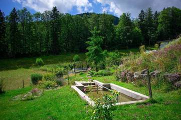 Appartement voor 7 Personen in Solothurn (kanton), Afbeelding 4