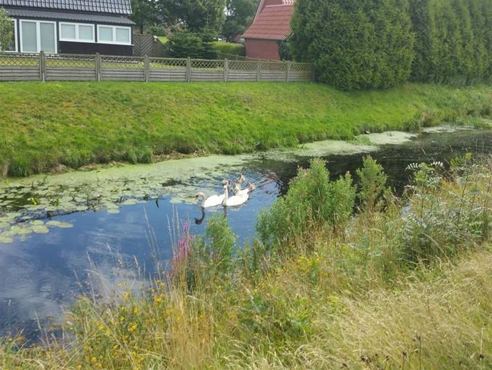Ferienwohnung für 2 Personen, mit Garten und Terrasse, kinderfreundlich in Südbrookmerland - 4