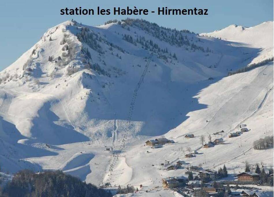 Appartement entier, Two-Bedroom Apartment in Habère-Poche, Région de Thonon-les-Bains