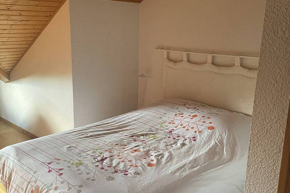 Entire apartment, Malbuison- Appartement avec vu sur le lac Saint Point in Mouthe-Lac et Mont d’Or, Doubs