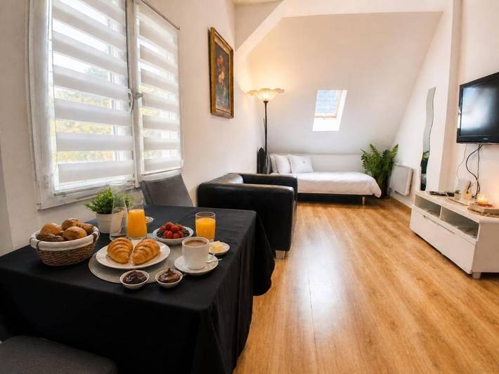 Gîte pour 3 personnes, avec jardin dans Sierentz