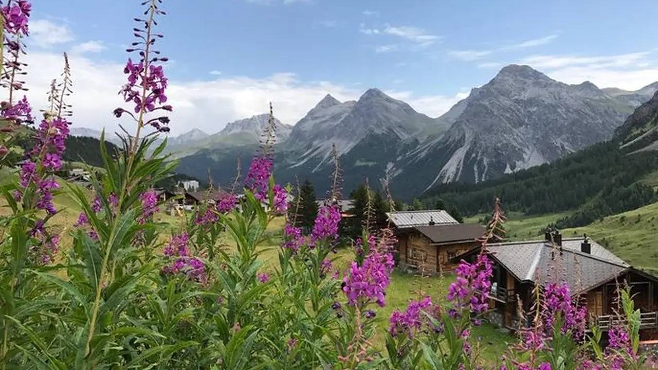 Appartement de vacances entier, Ferienwohnung für 4 Personen (65 m²) in Arosa in Arosa, Chaîne de Plessur