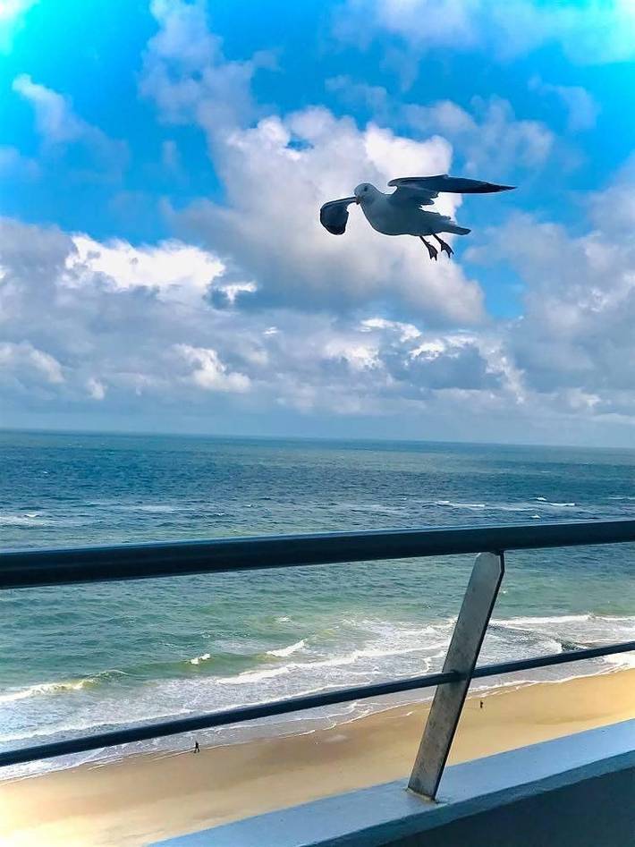 Ferienwohnung für 2 Personen, mit Balkon in Westerland - 2