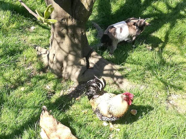 Casa rural para 2 personas, con terraza y jardín en Donostialdea - 2