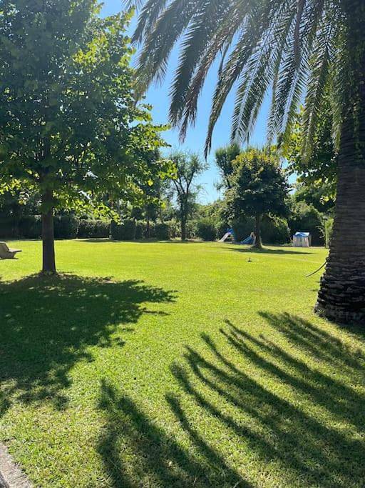 Gîte pour 5 personnes, avec jardin et terrasse, animaux acceptés à Carrare - 3