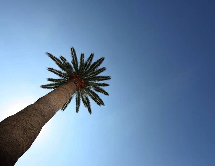 Gîte pour 6 personnes, avec vue et jardin, adapté aux familles à Deiva Marina - 4