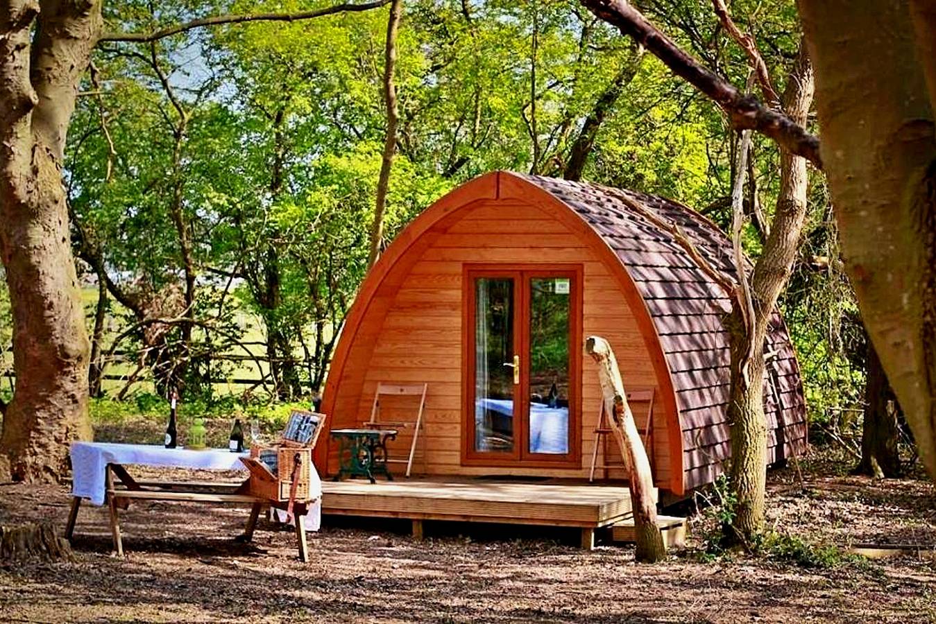 Eadmund Pod in Elveden Forest, Thetford Forest Park