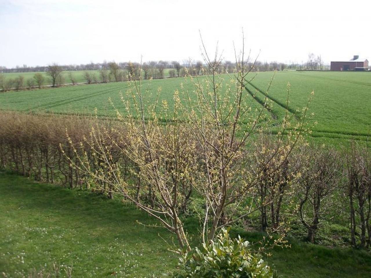 Ganze Ferienwohnung, F16bdg - Wohnung mit Balkon und Aussicht - F16bdg - Wohnung mit Balkon und Aussicht in Westfehmarn, Petersdorf auf Fehmarn