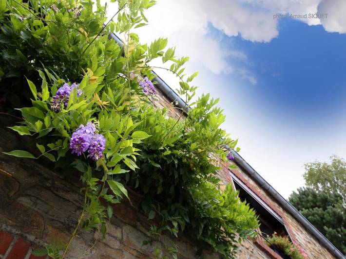 Location de vacances pour 9 personnes, avec terrasse ainsi que jardin et vue sur le lac à Mettet - 2